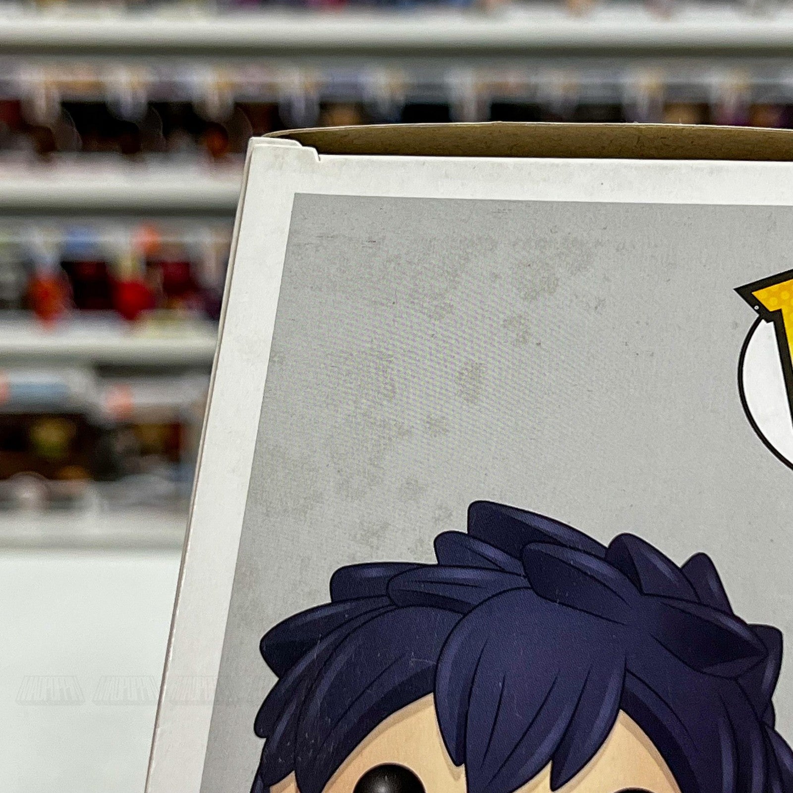 Funko Pop Animation Fairy Tail Gray Fullbuster #282 Vinyl Figure Anime Boxed