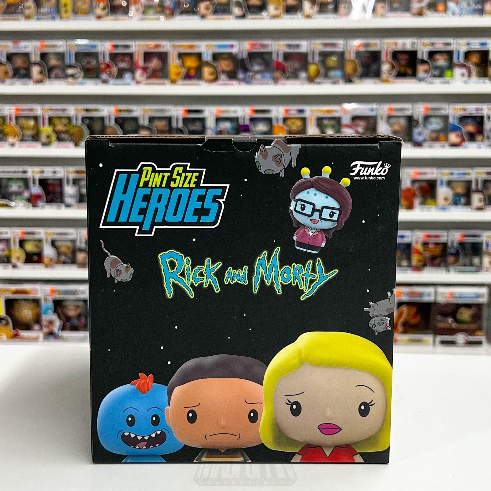 Funko Pint Size Heroes Rick and Morty Blind Box Full Case 12 Pack Vinyl Figures6