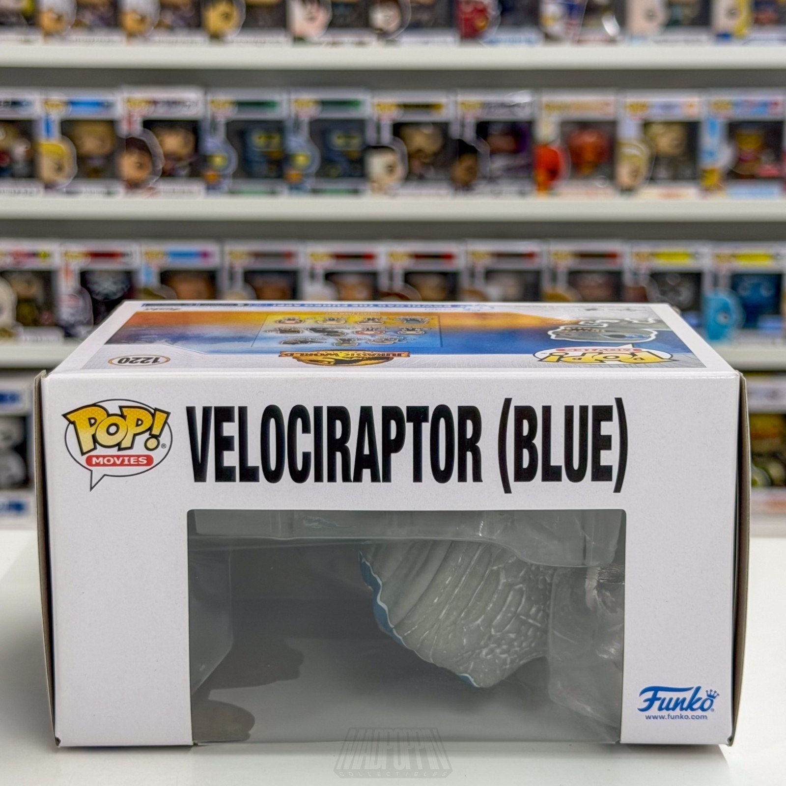 Funko Pop Movies Jurassic World Velociraptor Blue 1220 Dinosaur Toy Vinyl Figure